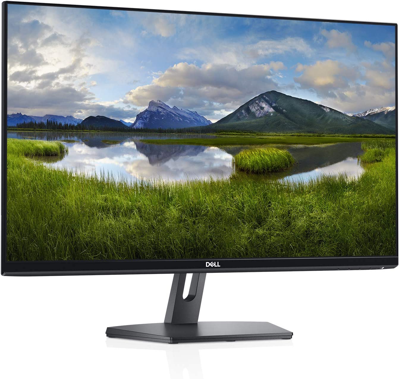 Dell SE2719H Review